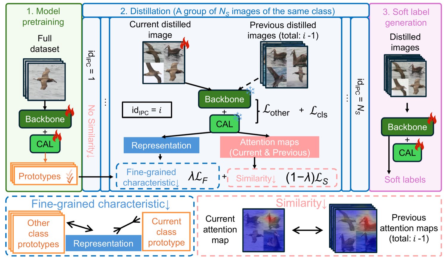 FD squared framework: model pretraining, sample distillation, and soft-label generation